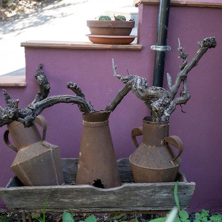 Agriturismo Etna-Mare Piedimonte Etneo Luaran gambar