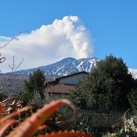 Agriturismo Etna-Mare Piedimonte Etneo Luaran gambar