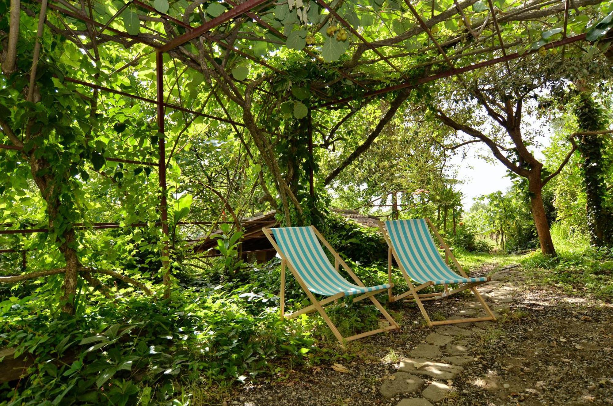 Agriturismo Etna-Mare Piedimonte Etneo Bilik gambar