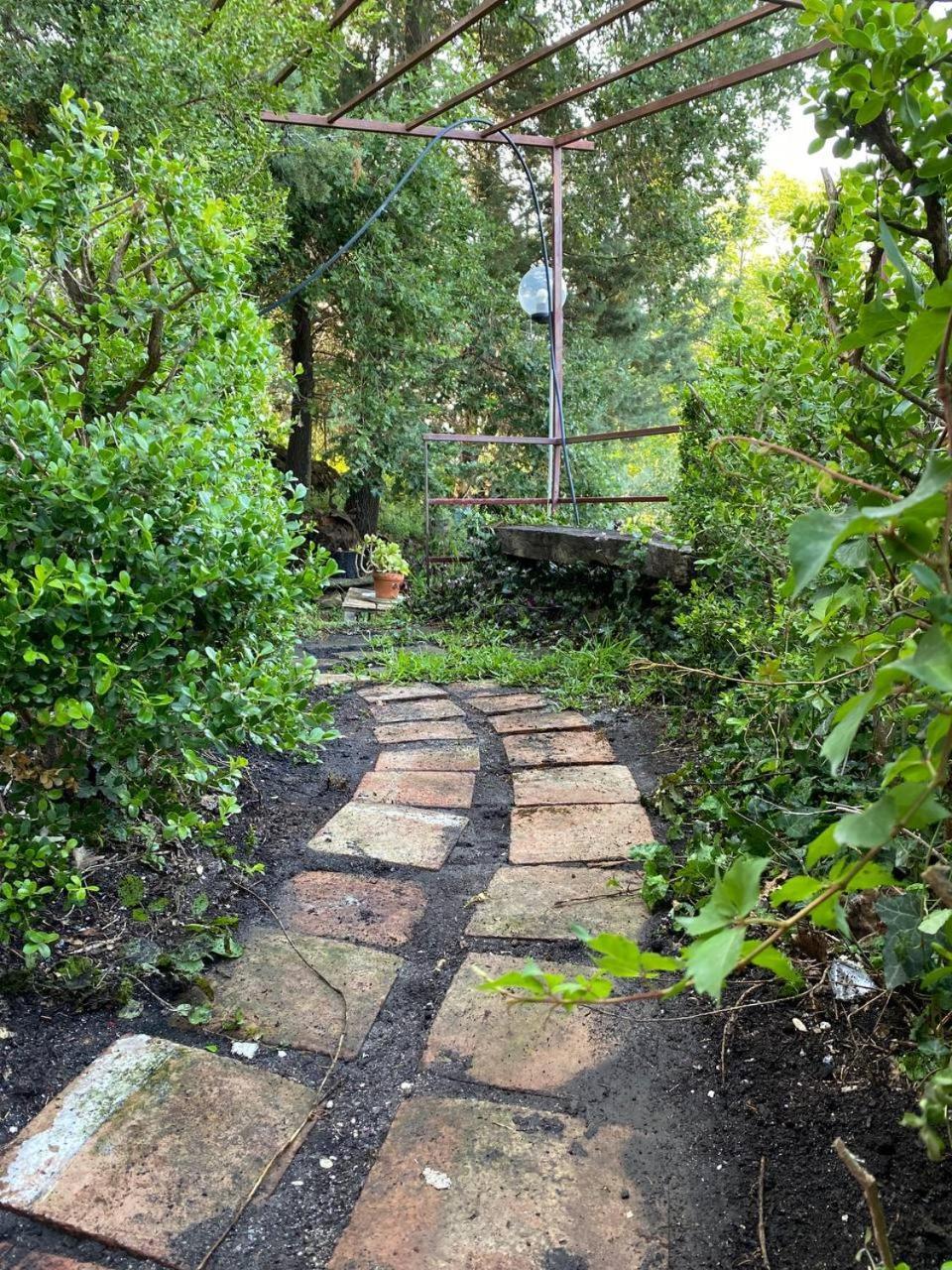 Agriturismo Etna-Mare Piedimonte Etneo Bilik gambar