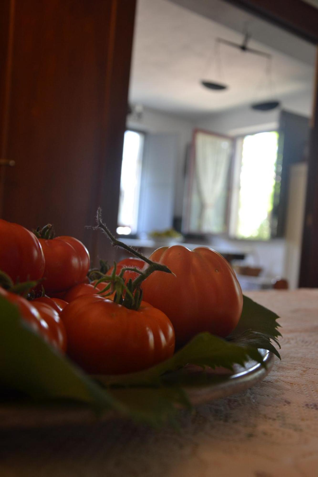 Agriturismo Etna-Mare Piedimonte Etneo Bilik gambar