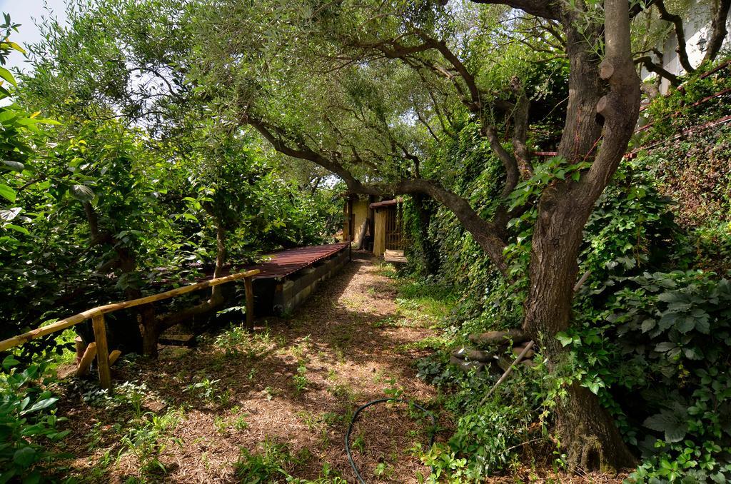 Agriturismo Etna-Mare Piedimonte Etneo Luaran gambar